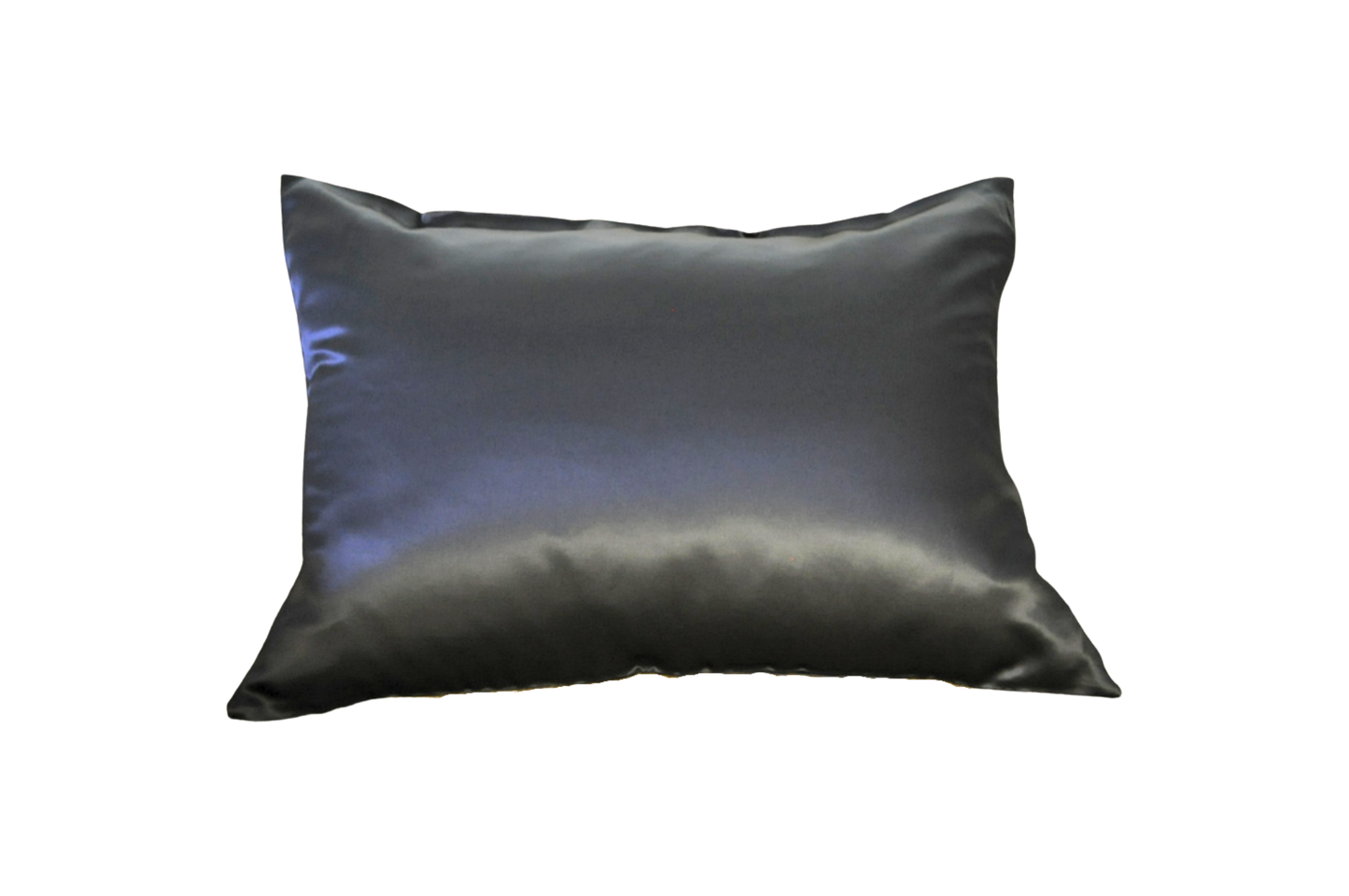 Silk Pillows | True Black | Exclusive Silk Collection | Skilled Accents